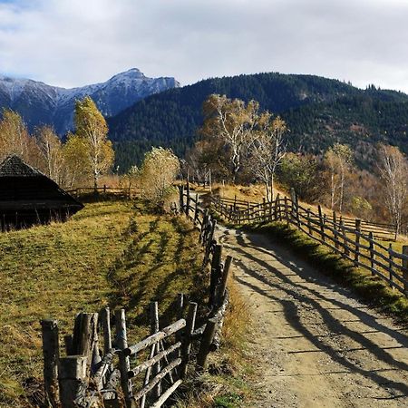 Pensiunea Montan Din Bran,Sat Simon Spa Indoor Бран Экстерьер фото