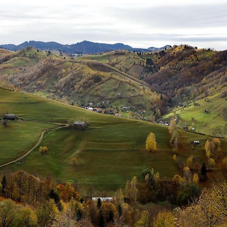Pensiunea Montan Din Bran,Sat Simon Spa Indoor Бран Экстерьер фото