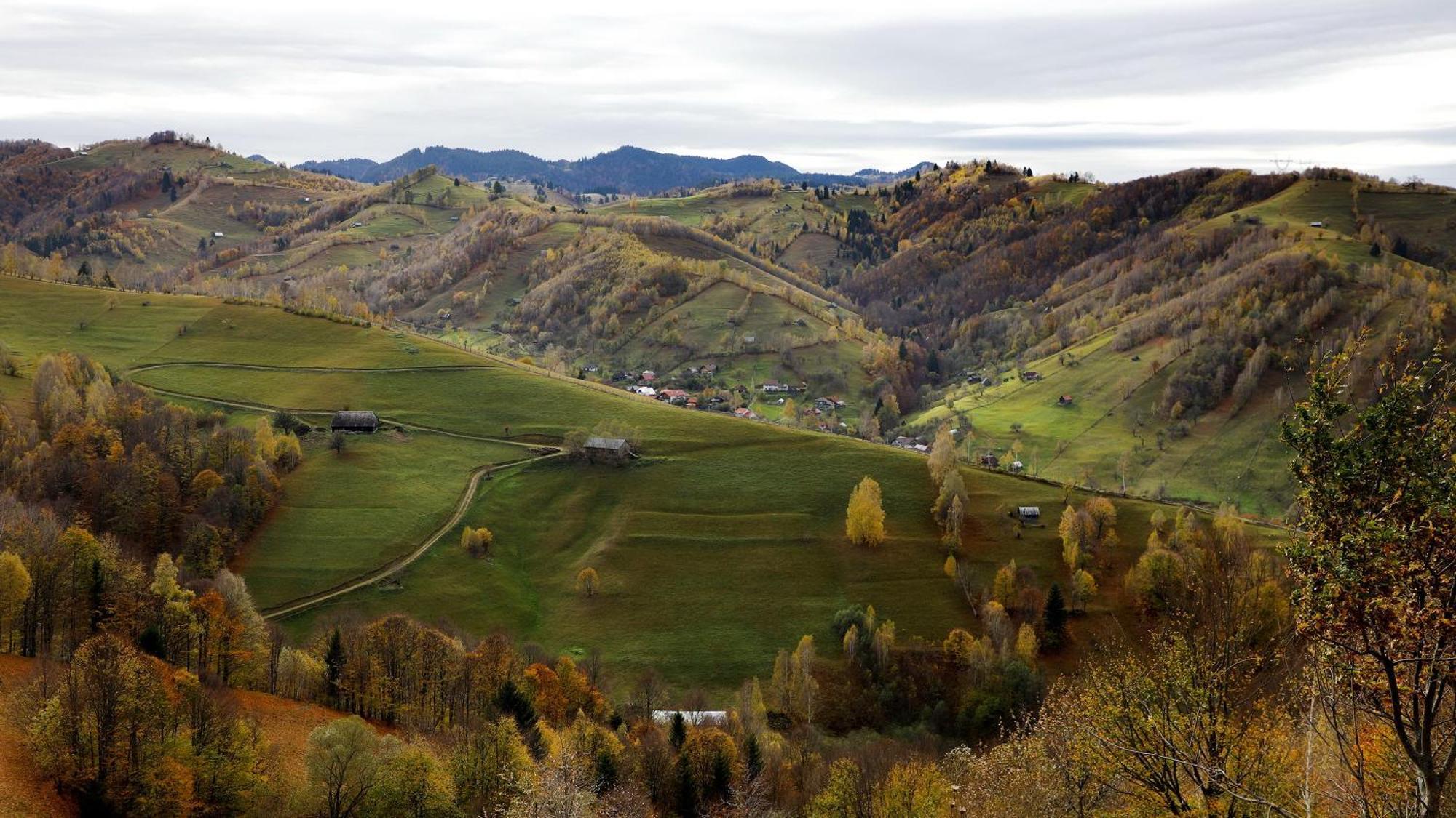Pensiunea Montan Din Bran,Sat Simon Spa Indoor Бран Экстерьер фото