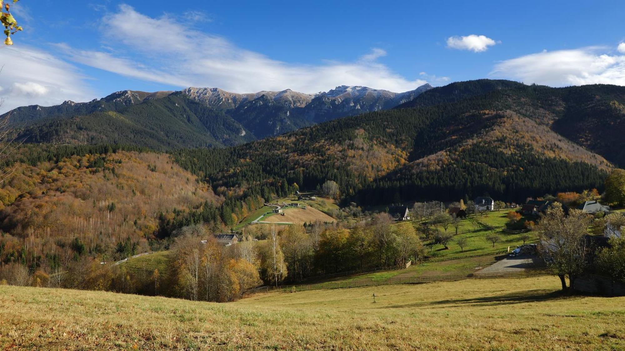 Pensiunea Montan Din Bran,Sat Simon Spa Indoor Бран Экстерьер фото